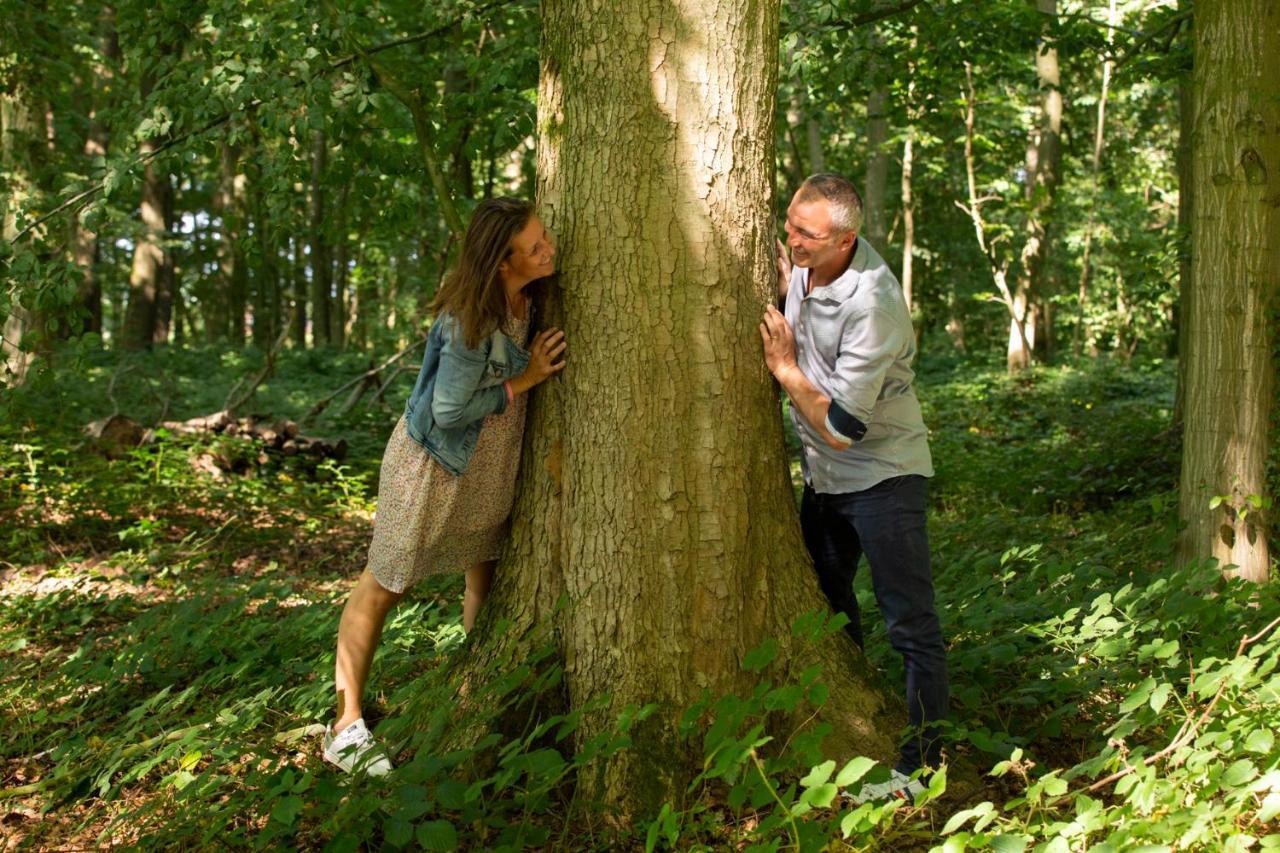 Aux Petits Lapins De Sorval, Sauna Prive, Fitness Selvigny Zewnętrze zdjęcie